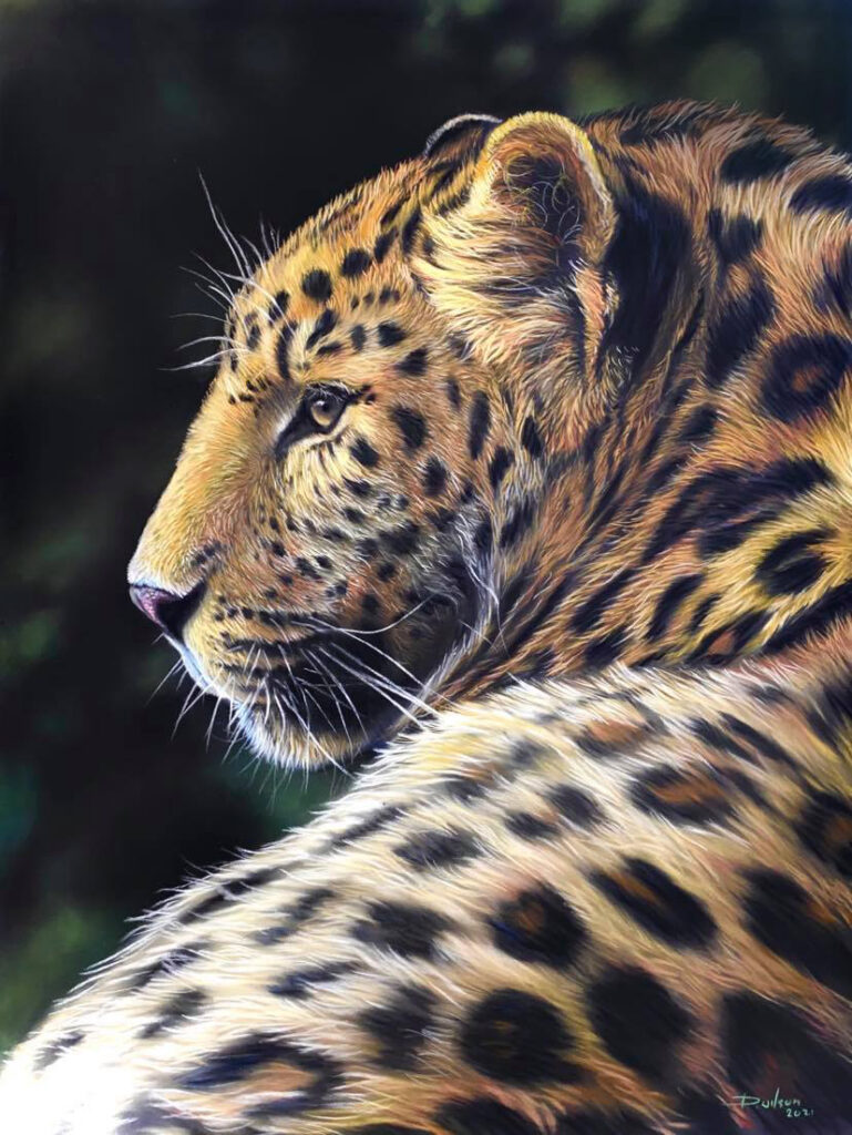 realistic leopard drawing in pastel