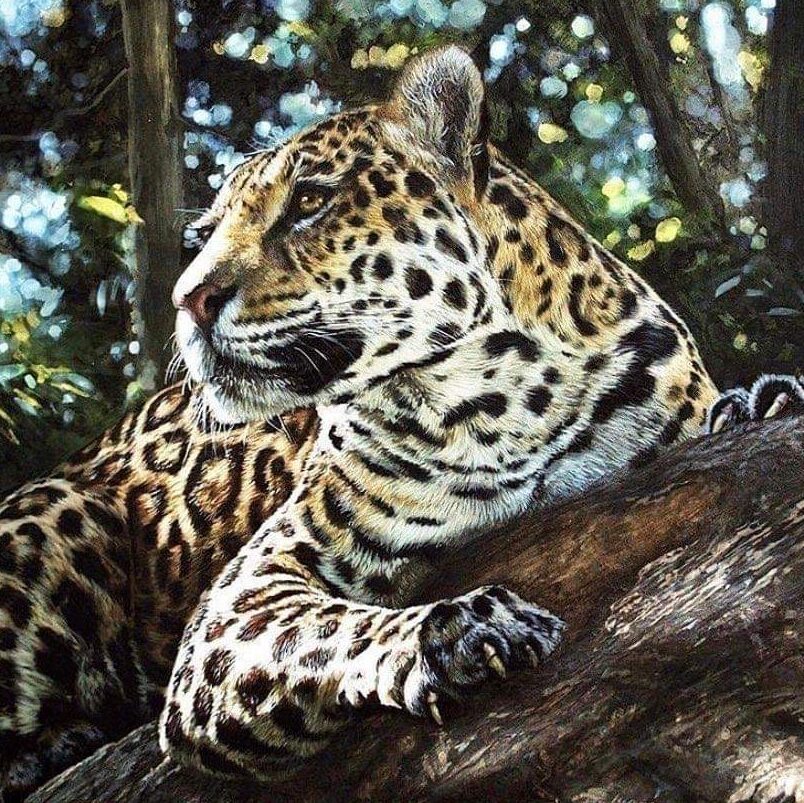 realistic acrylic painting of a jaguar sat on a tree
